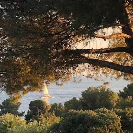 Taos Vue L'ile D'or Saint-Raphaël